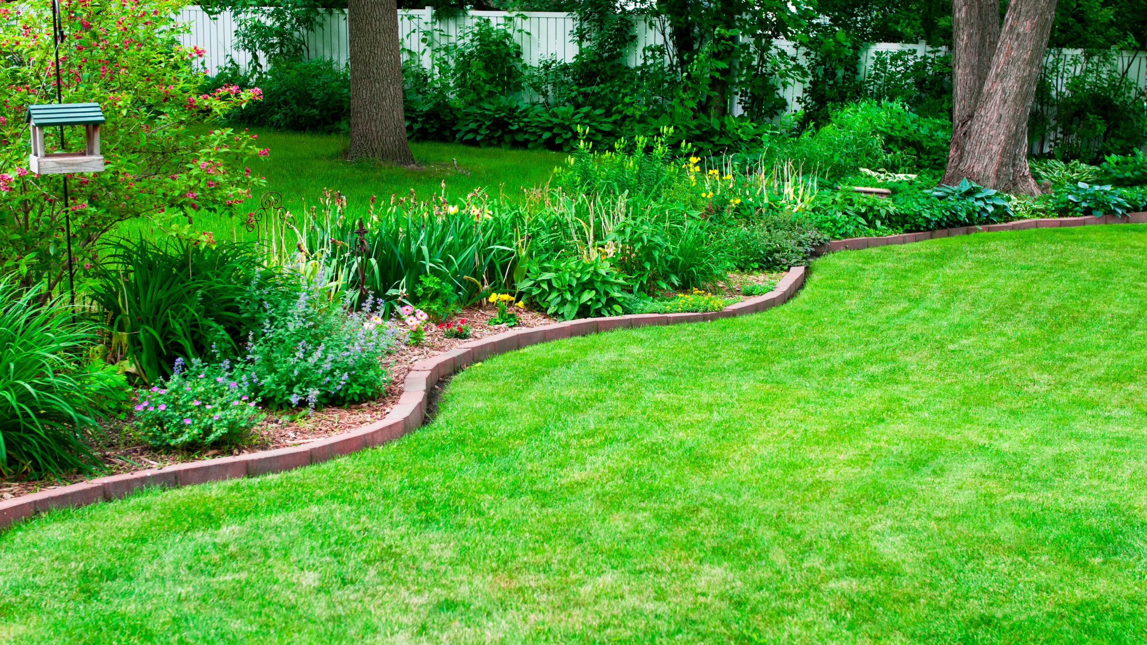 Can You Plant Grass Seed in the Fall? Yes, Here’s How!